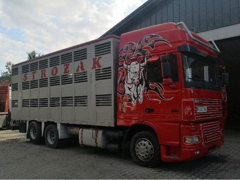 Поступление DAF XF 95
